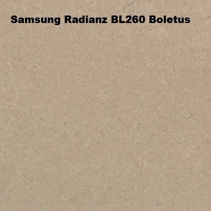 Кварцевый камень Samsung Radianz BL260 Boletus