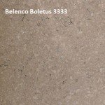 Belenco-Boletus-3333