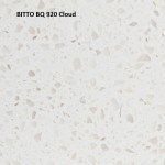 BITTO-BQ-920-Cloud