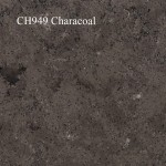 CH949-Characoal