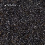 AS955-Aster