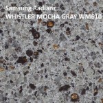 Samsung Radianz Whistler Mocha Gray WM610