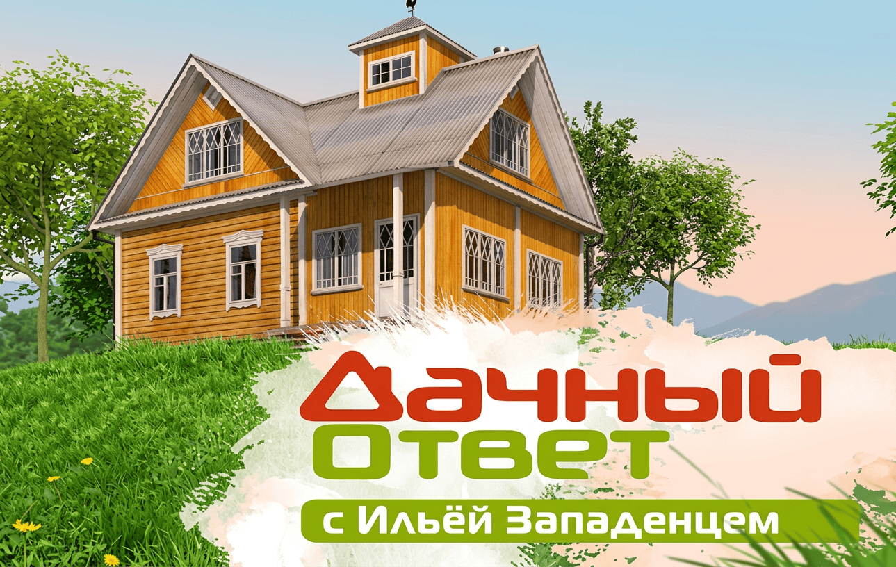 Образцы акрилового камня и кварцевого агломерата — палитра цветов и текстур